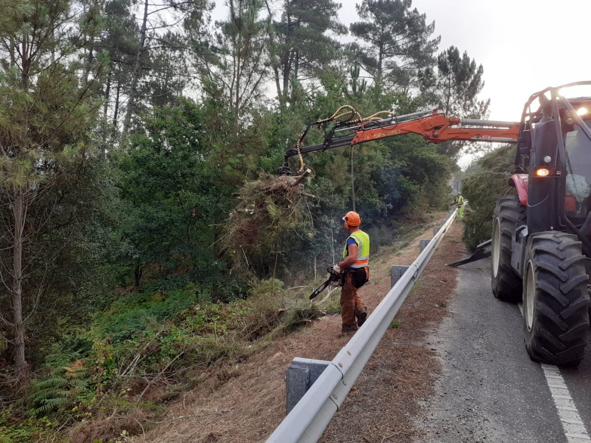 Archivo - Desbroce de márgenes de carreteras, limpieza de biomasa, roza