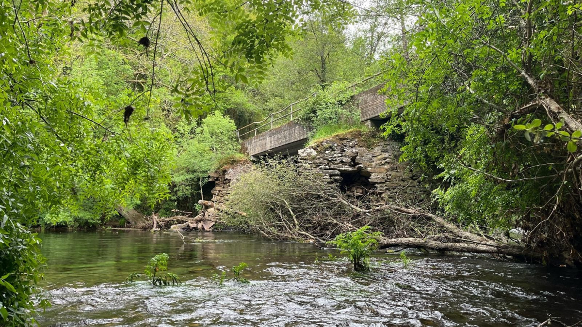 Ponte das Canizas