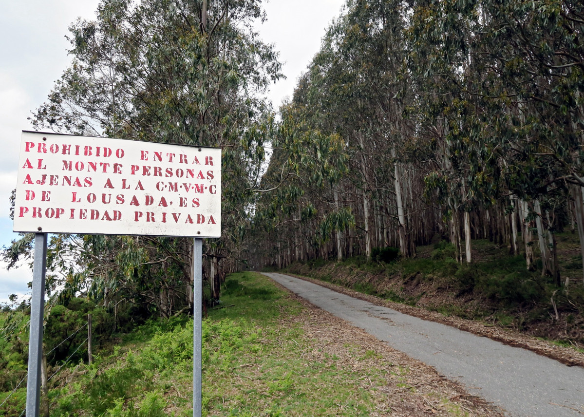 Denuncian por supuestas irregularidades contables a la dirección de la comunidad de montes de Lousada, en Xermade (Lugo)