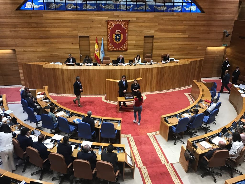 Votación sobre o cesamento da valedora con Pedro Puy Fraga, portavoz do PPdeG