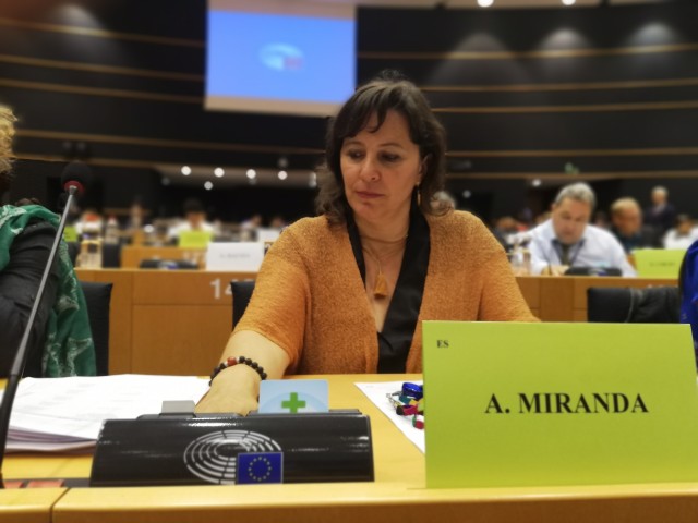 Ana Miranda, eurodeputada