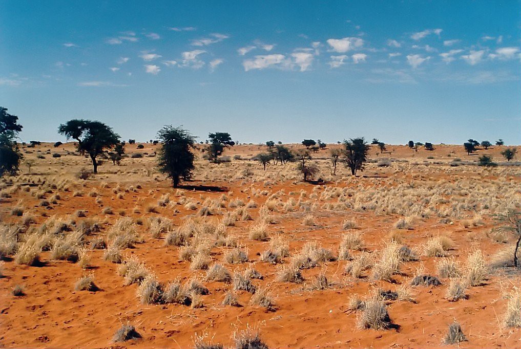 Deserto do Kalahari