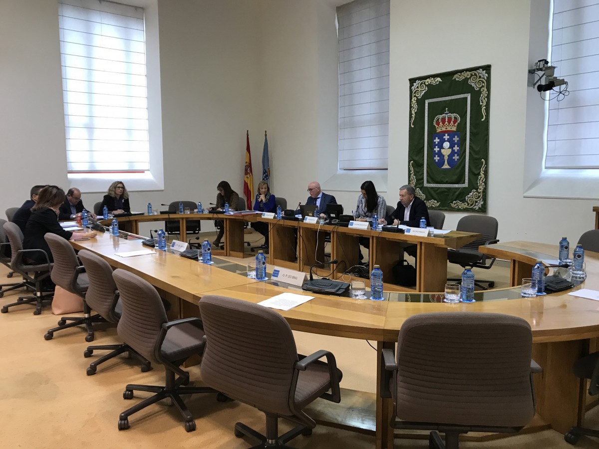 Comparecencia na comisión de investigación de sanidade sen a oposición