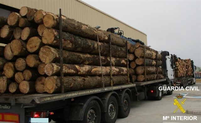 Transporte de madeira
