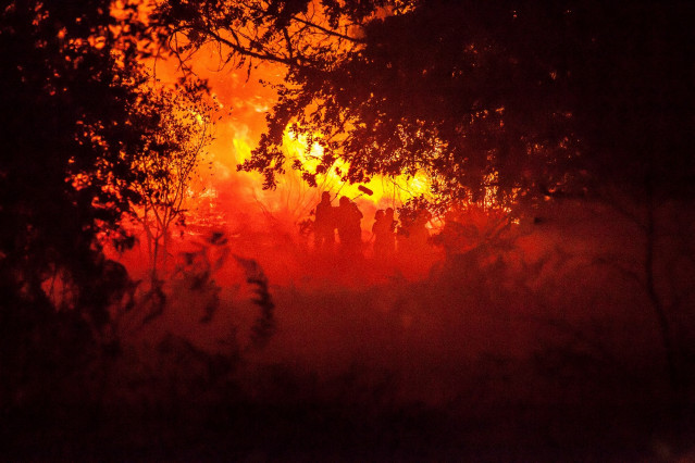 Oliver Laxe grava nun incendio para 'Aquilo que arde'