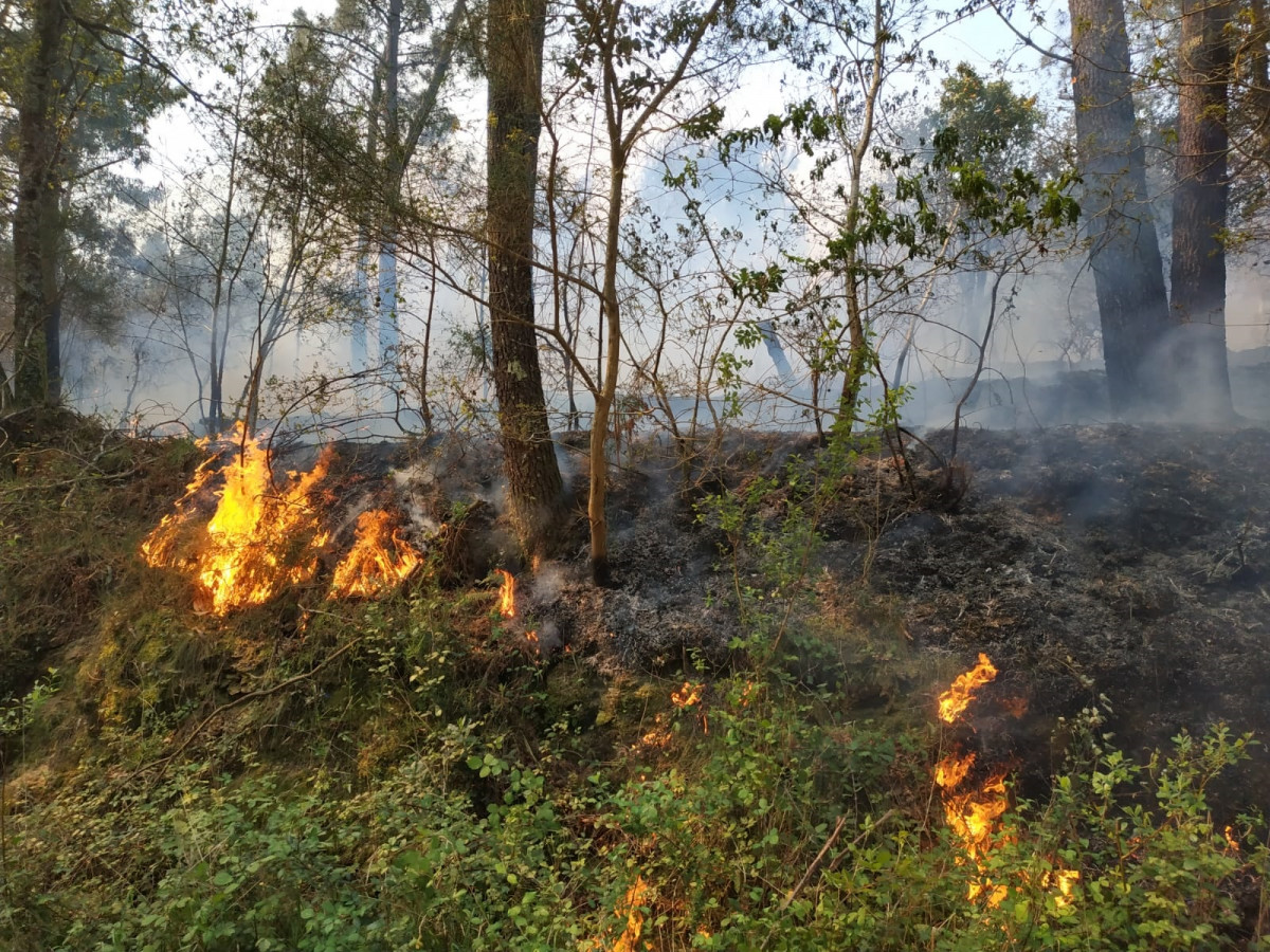 Rural.- Os primeiros cen plans locais antincendios, obrigatorios desde hai 12 anos, estarán listos antes de verán