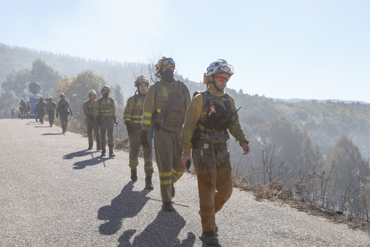 Fila de brigadistas que traballan para sufocar o incendio forestal de Mondariz (Pontevedra)