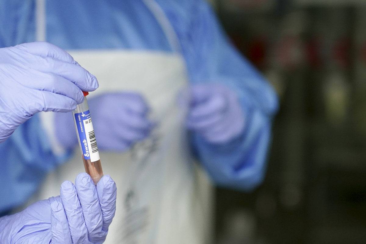 Un sanitario protexido con luvas sostén un mostra para realizar unha Análise PCR nun local de Deputación de Bizkaia, onde recollen mostras de traballadores funcionarios que deron positivo e