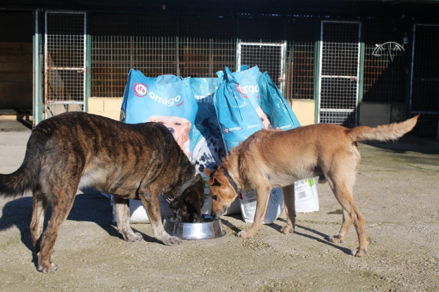 Gadis entrega a protectoras de animais produtos para cans e gatos