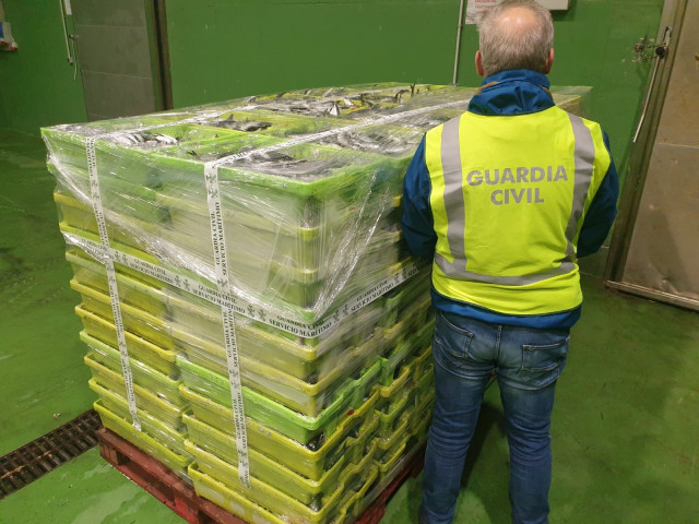 Case dúas toneladas de sardiñas incautadas pola Garda Civil no porto de Portosín, en Porto do Son (A Coruña).