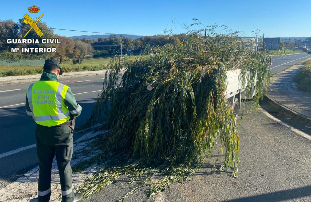 A Garda Civil denuncia en Silleda (Pontevedra) ao condutor dunha furgoneta cargada con ramas de árbores sen sujección, arrastrando pola calzada e tapando os dispositivos de iluminación e a matrícula.