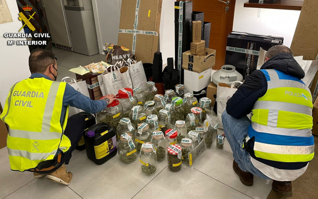 A Garda Civil desarticula unha plantación de marihuna no Porriño que servía tamén de punto de venda