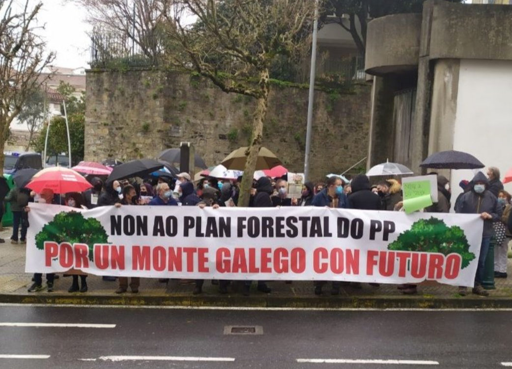 Protesta contra o plan forestal fronte ao parlamento nunha imaxe de Amigos dá Terra Vigo