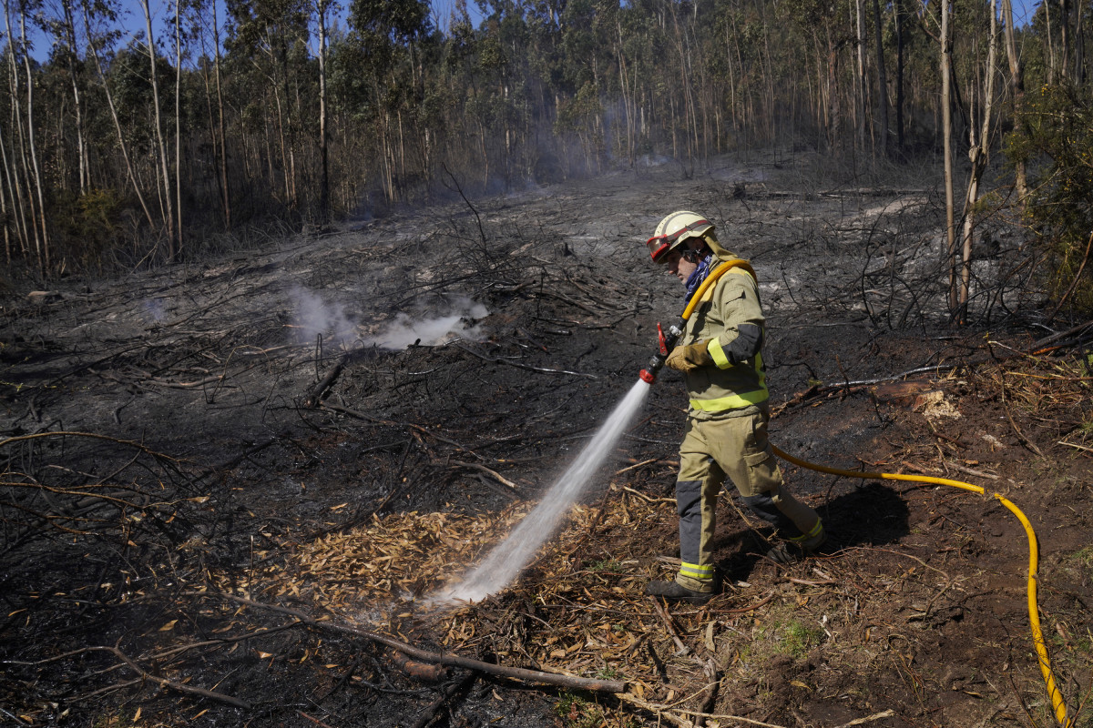 Un bombeiro apaga o incendio forestal na parroquia de Figueiras en Santiago de Compostela, A Coruña, Galicia (España), ao 20 de marzo de 2021.