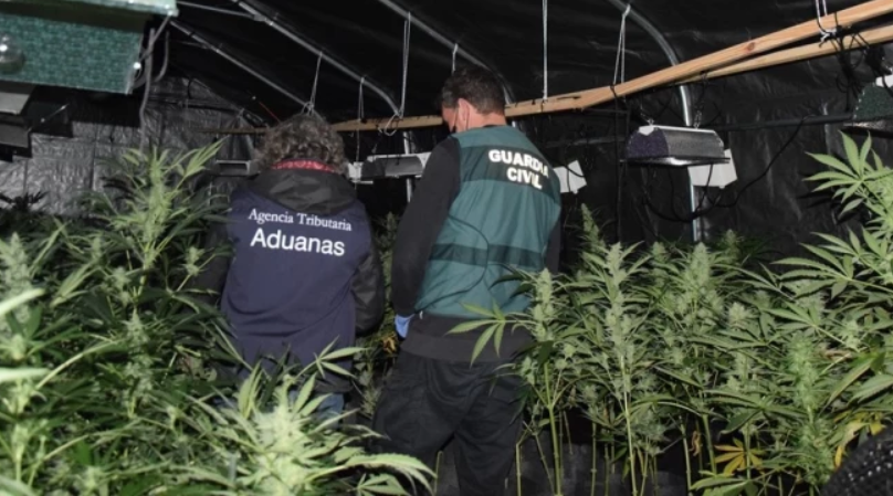Plantación de marihuana nunha nave en CEA nunha foto da Garda Civil