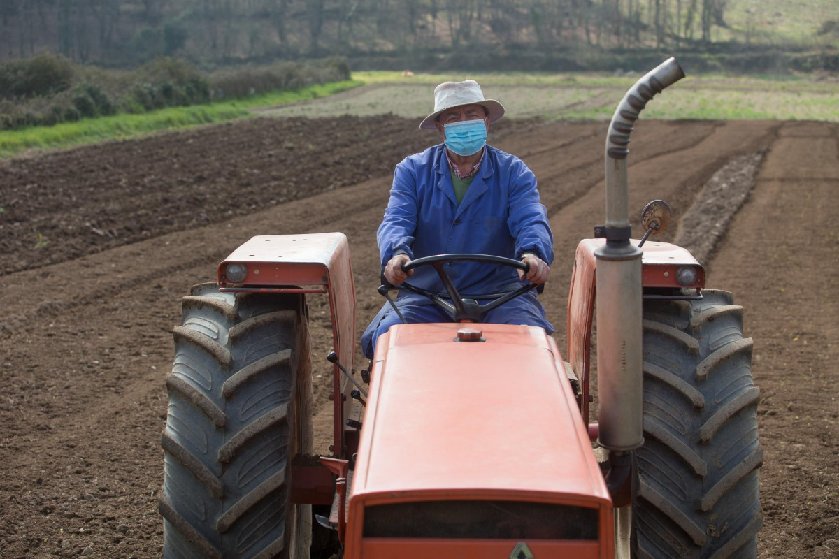 Arquivo - Manuel Rodríguez ara as súas leiras co tractor e máscara para plantar patacas  en Lugo, Galicia (España), ao 24 de marzo de 2021. O sector primario foi fundamental durante a pandem