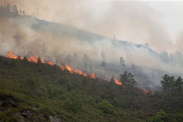 Labores de extinción do incendio forestal que se orixinou a pasada madrugada na contorna da localidade de Ferreirós de Abaixo, no municipio de Folgoso do Courel, ao 12 de xuño de 2021, en Lugo, Galicia (España). O incendio forestal ha queimado unha