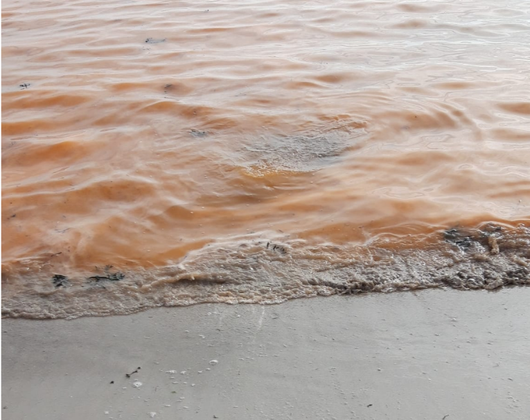 Marea vermella na praia de Limens en Cangas  MEF