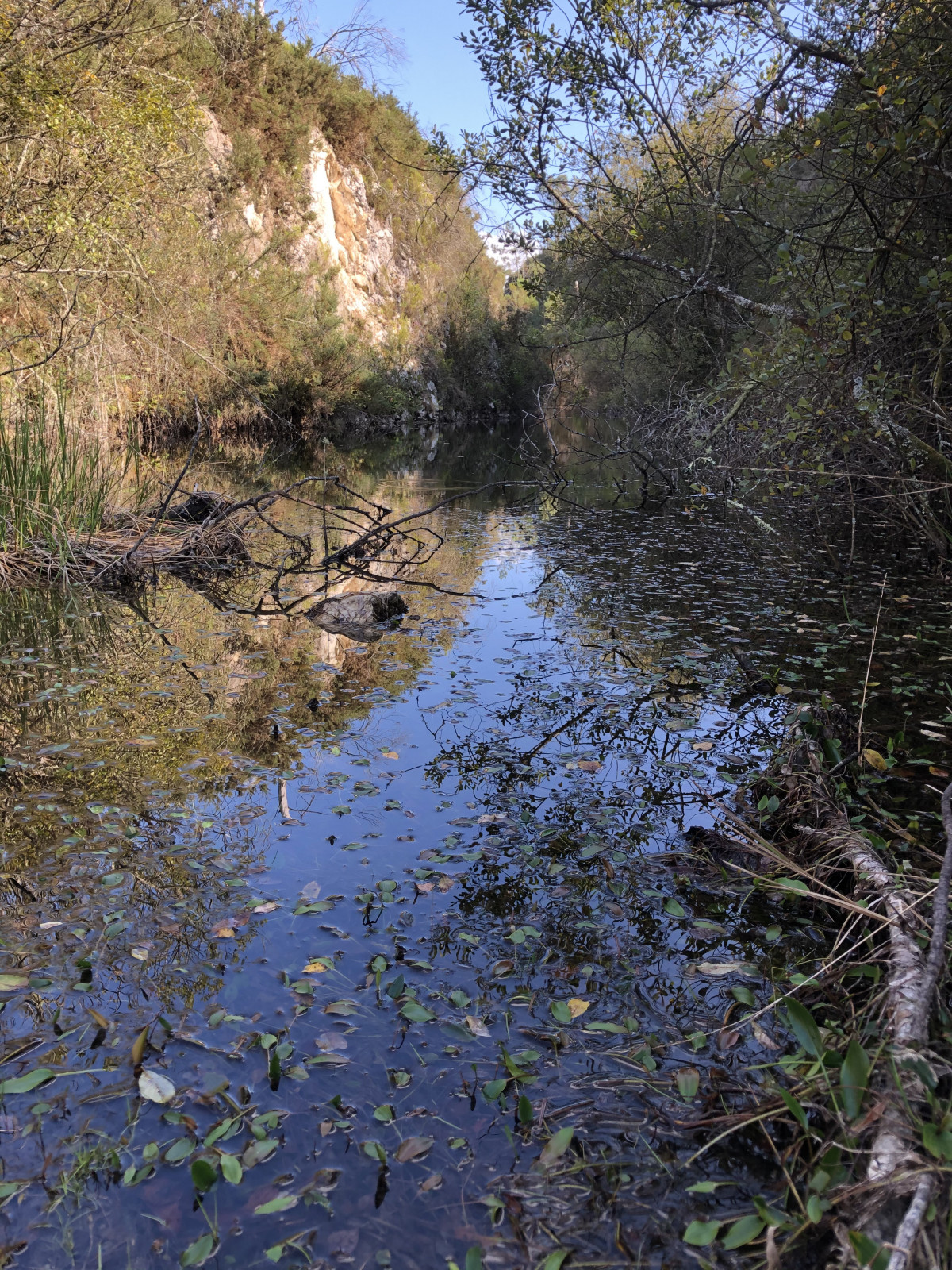 Laguna en la cantera de Fecha, convertida en un espacio natural  en una imagen de la Asociaciu00f3n Ambiental y Cultural