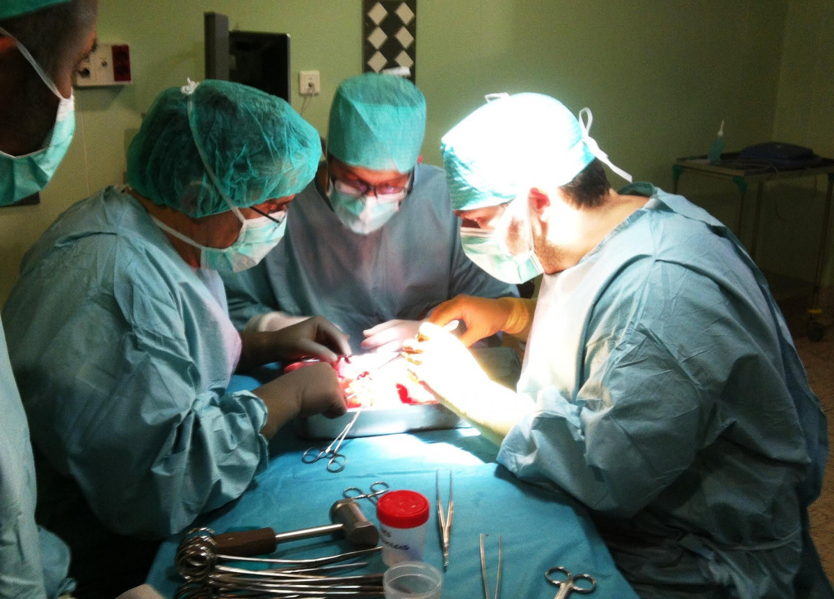 O Hospital Rexional de Málaga realiza 14 transplantes de órganos en 15 días