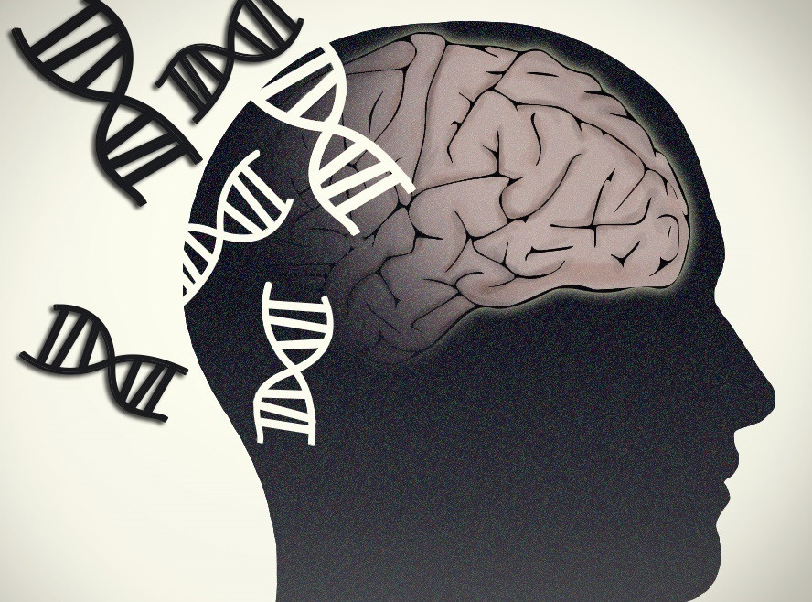 Arquivo - Alzheimer, Parkinson. Cerebro e xenética.