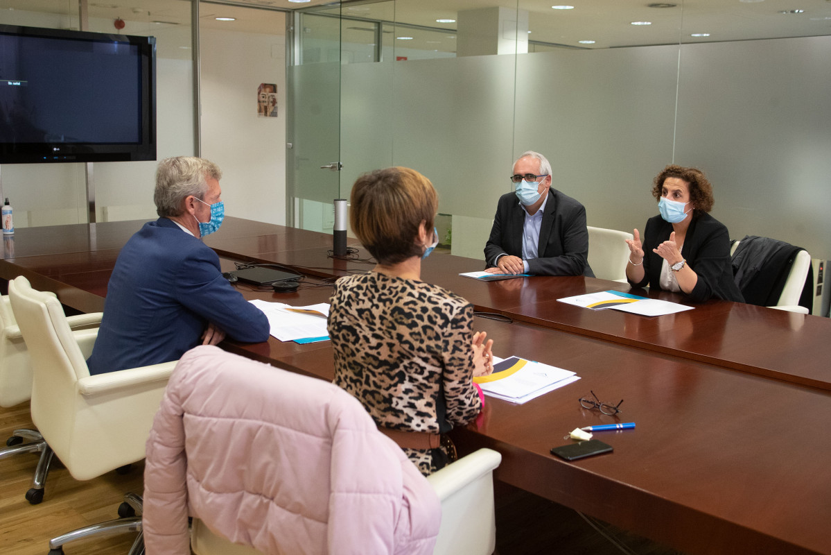 Alfonso Rueda e Nava Castro nunha reunión en 2020 coa asociacion de propietarios turu00edsticos Aviturga