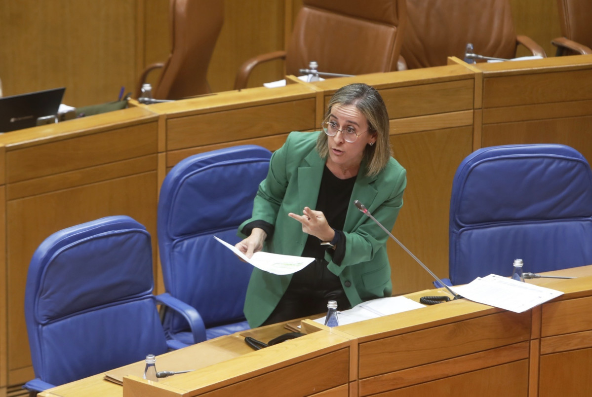 La conselleira de Infraestruturas e Mobilidade, Ethel Vázquez, en un pleno del Parlamento de Galicia.