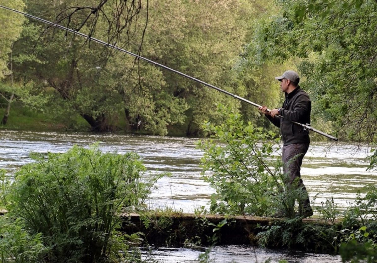 Pesca