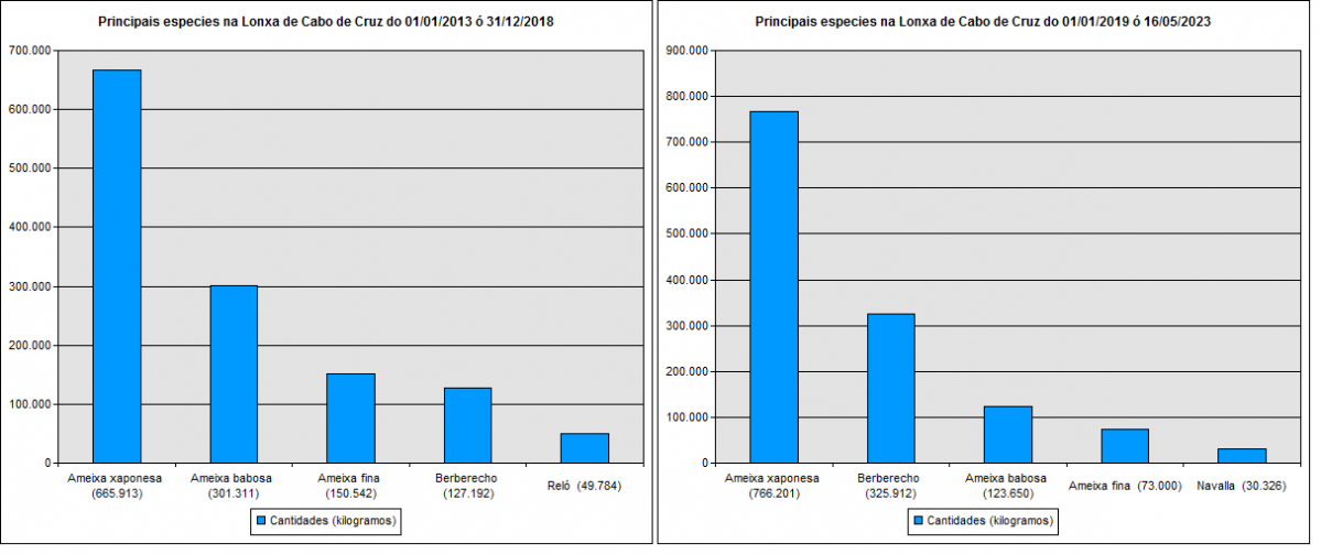 Babosa 2013 2023