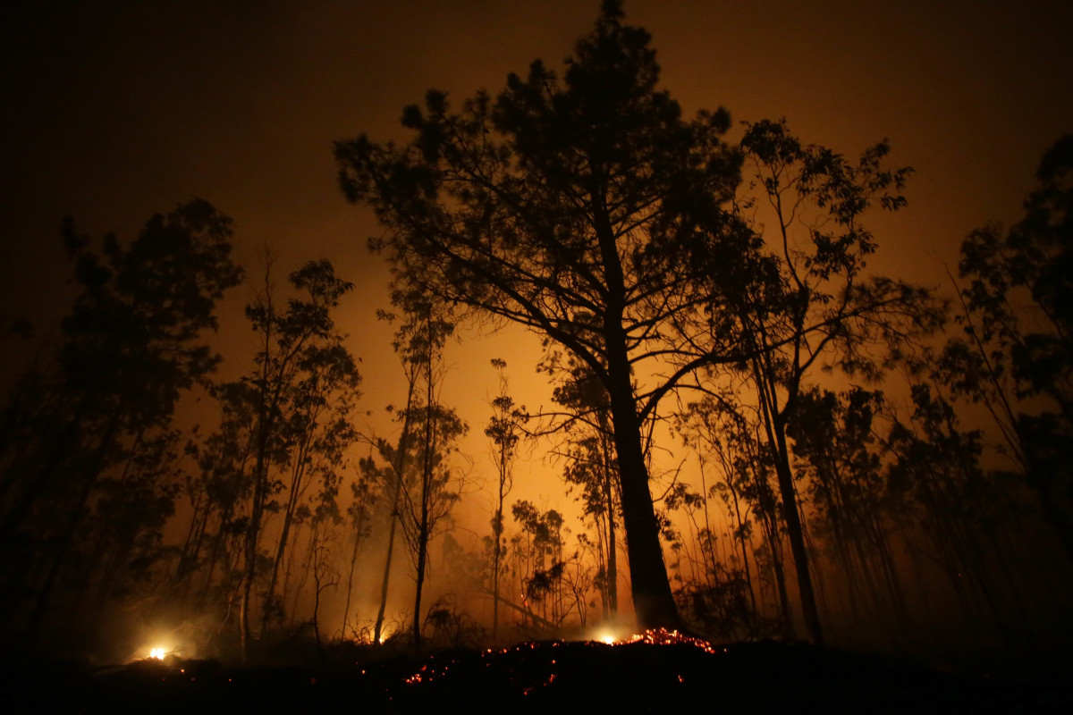 Árboles de eucalipto arden durante el incendio, a 12 de octubre de 2023, en Vidal, Trabada, Lugo, Galicia (España). La proximidad del incendio a núcleos de población ha obligado a declarar la deno