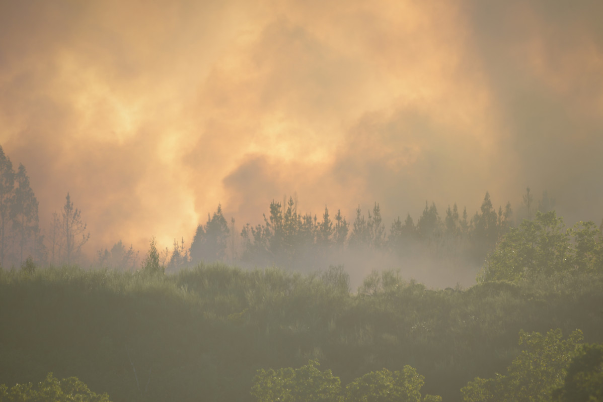 Archivo - Humo provocado por un incendio forestal en la parroquia de Belesar, a 6 de agosto de 2023, en Vilalba, Lugo, Galicia (España). Varios medios de extinción, terrestres y aéreos, fueron movi