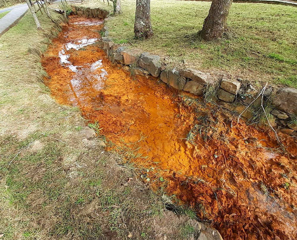 Río Brandelos a su paso por Touro en una foto de Ecoloxistas en Acción