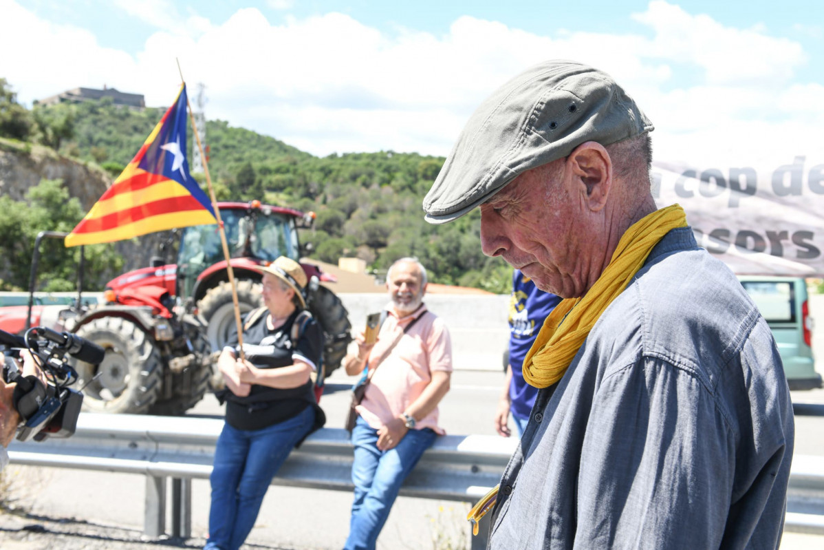 El nou president de l'Assemblea Nacional Catalana (ANC) i cantautor, Lluís Llach, en una de les protestes