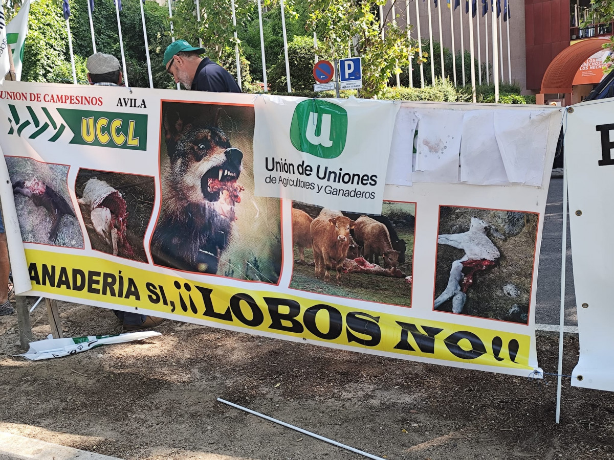 Manifestaciu00f3n en Madrid pidiendo medidas contra el lobo en una imagen de La Uniu00f3n de Extremadura