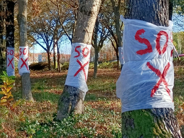 Ecologistas alertan de la 