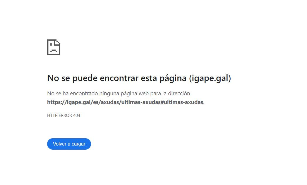 Captura de pantalla del apartado web de axudas en el portal del IGAPE esta tarde