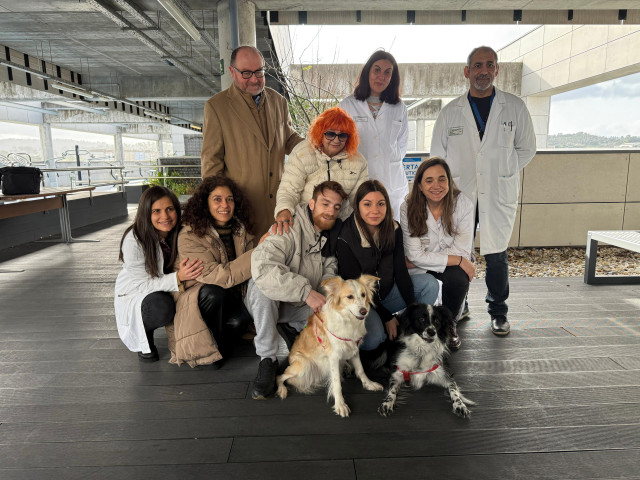 Ourense da un paso pionero en la humanización hospitalaria con la visita de animales de compañía a los pacientes