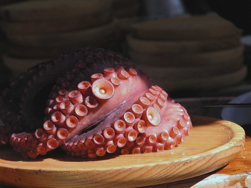 Polbopulpo